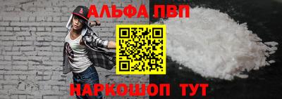 стаф Гатчина