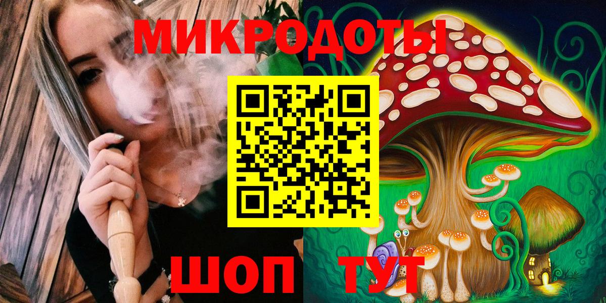Галлюциногенные грибы Psilocybine cubensis Зерноград