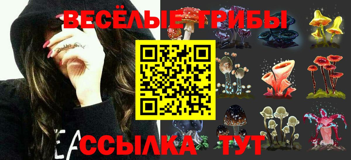Зерноград  Галлюциногенные грибы GOLDEN TEACHER  Вход с VPN 